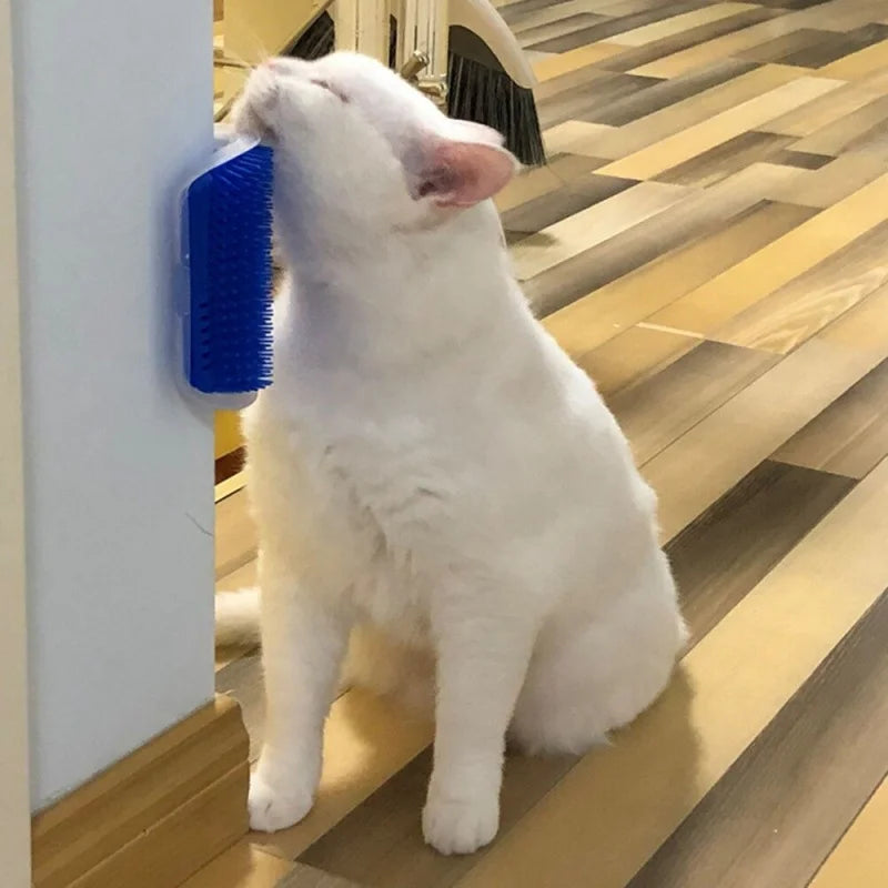 Escova de cabelo com tira de catnip, brinquedo de massagem de parede para gatos.