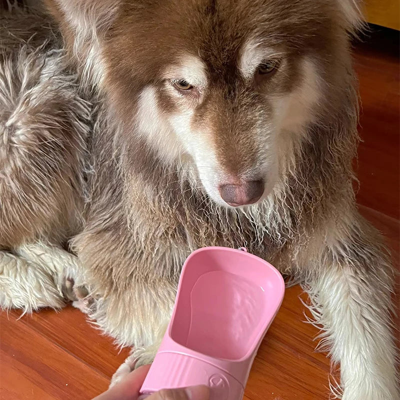 Garrafa de água portátil para cães com recipiente para comida.