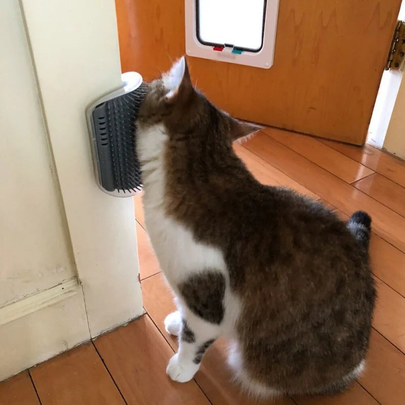 Escova de cabelo com tira de catnip, brinquedo de massagem de parede para gatos.